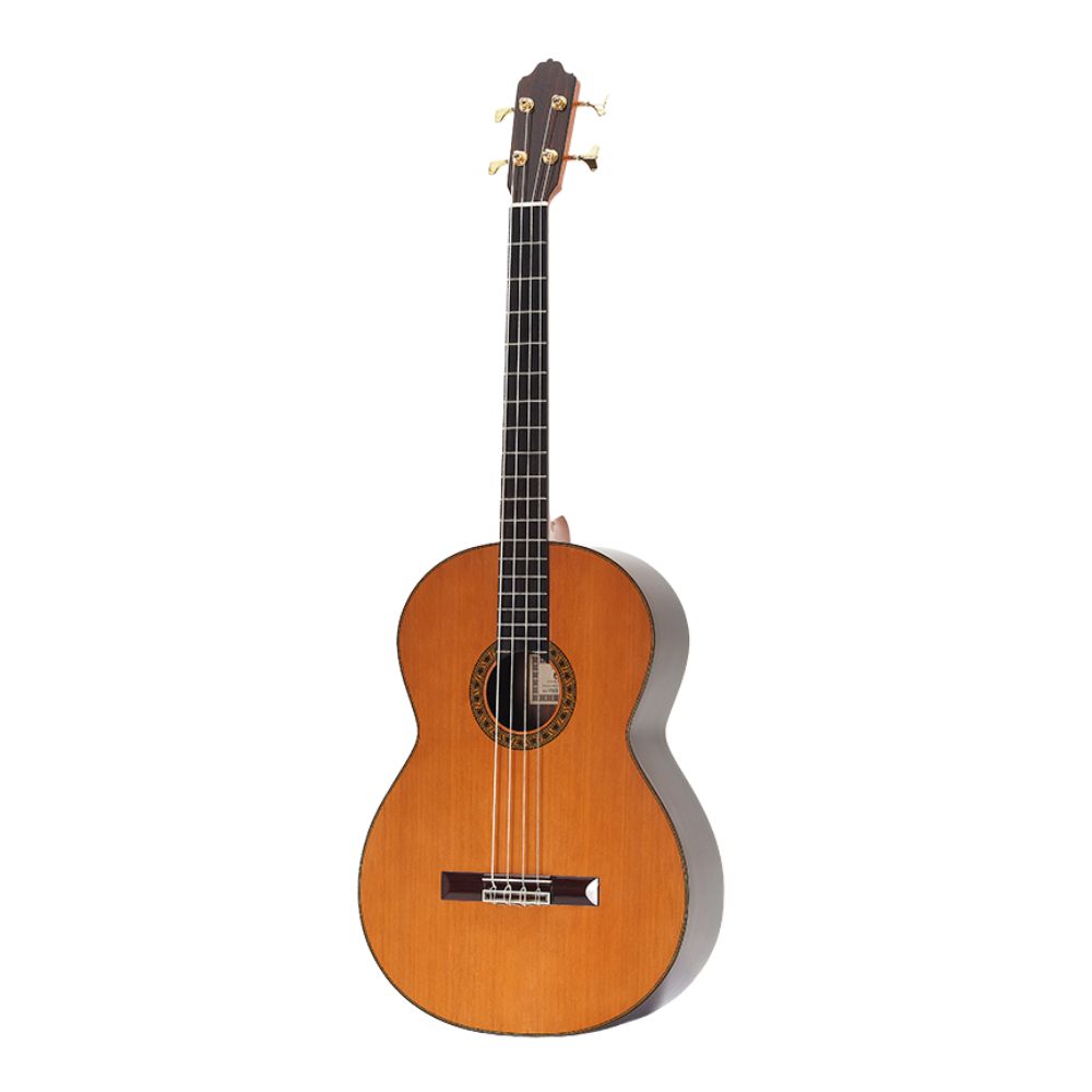 BAIXOS ACUSTICOS 4 CORDAS