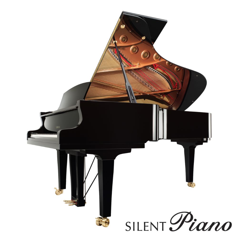 PIANOS SILENT