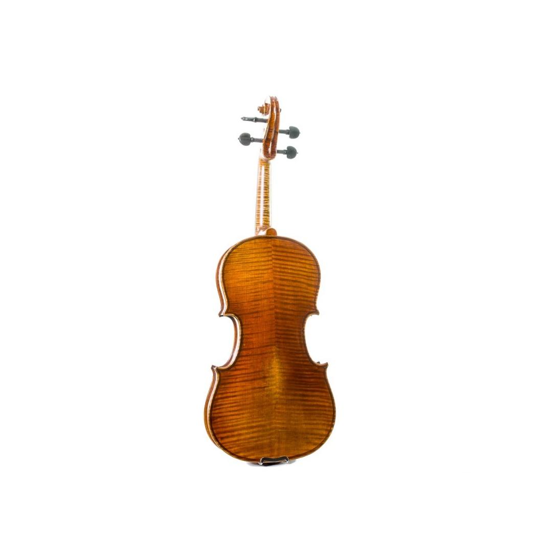 VIOLINO STENTOR MASTER
