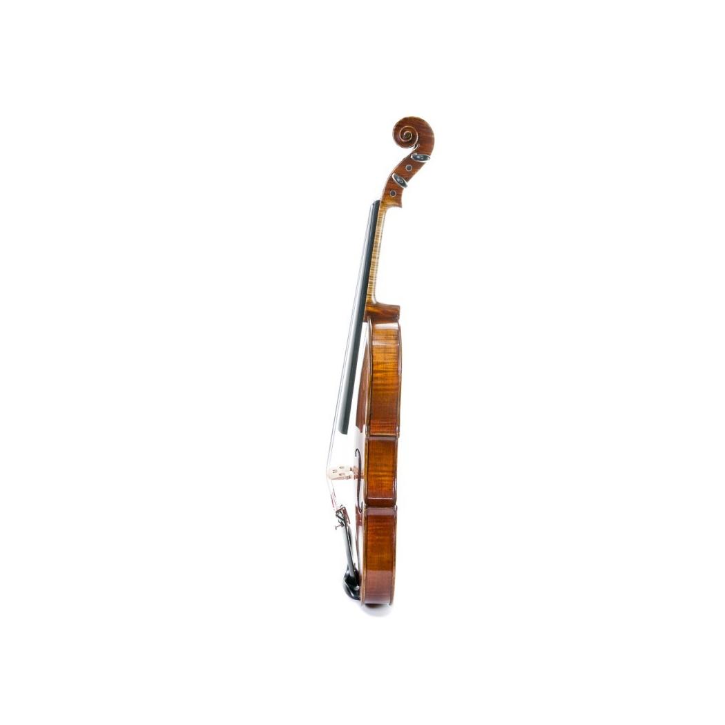 VIOLINO STENTOR MASTER