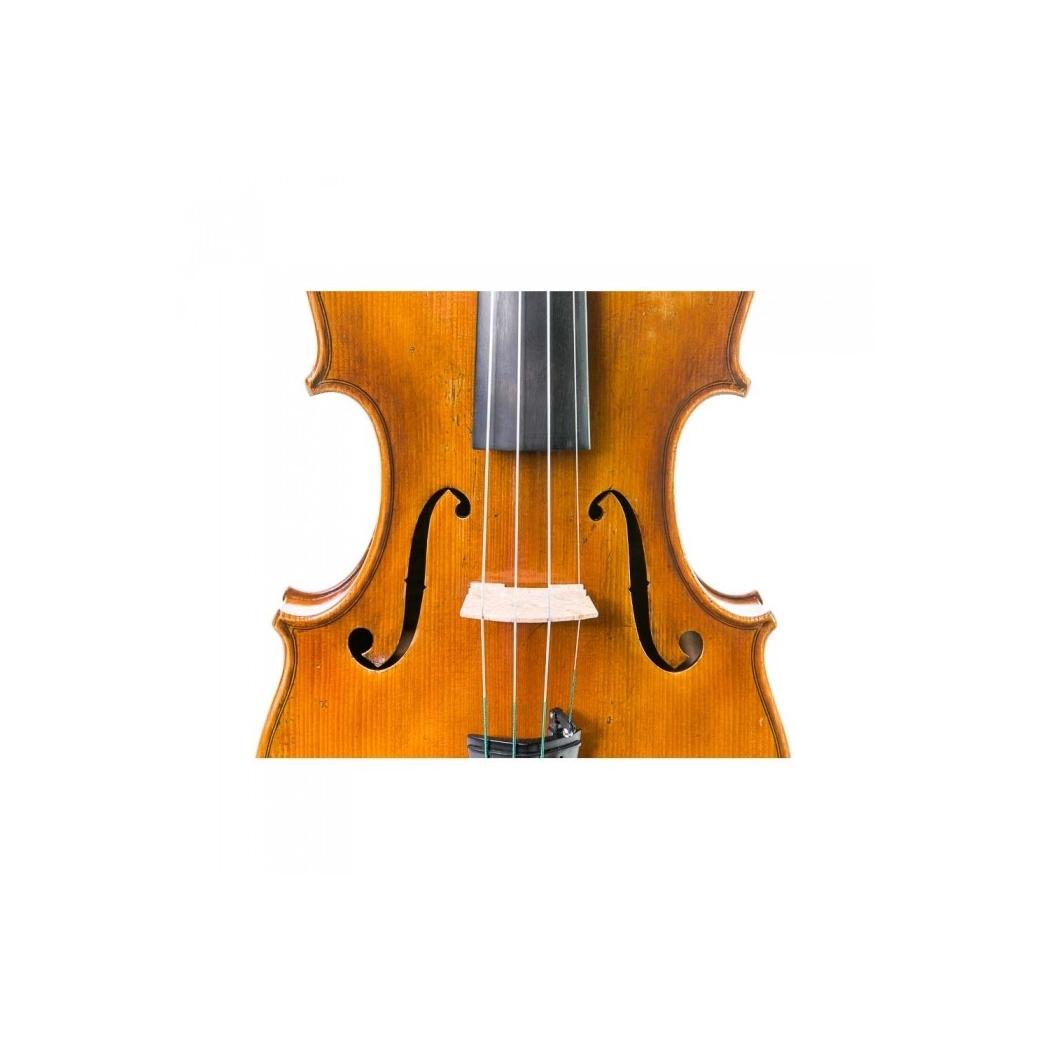VIOLINO ANTONIO WANG SIRACURA