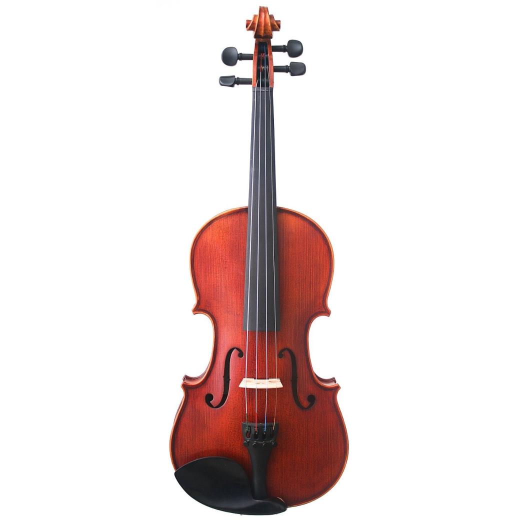 VIOLINO CORINA DUETO
