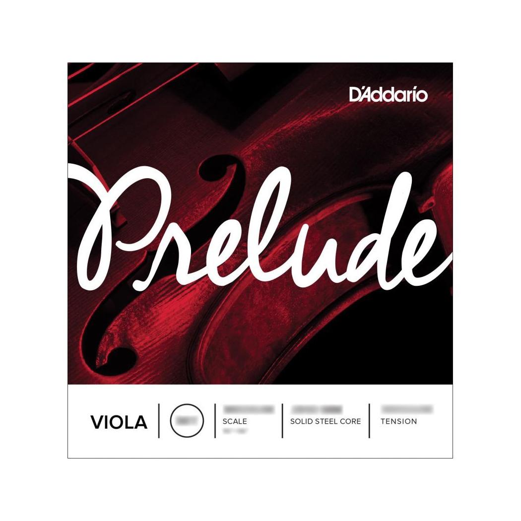 JG. CORDAS D&acute;ADDARIO J 910