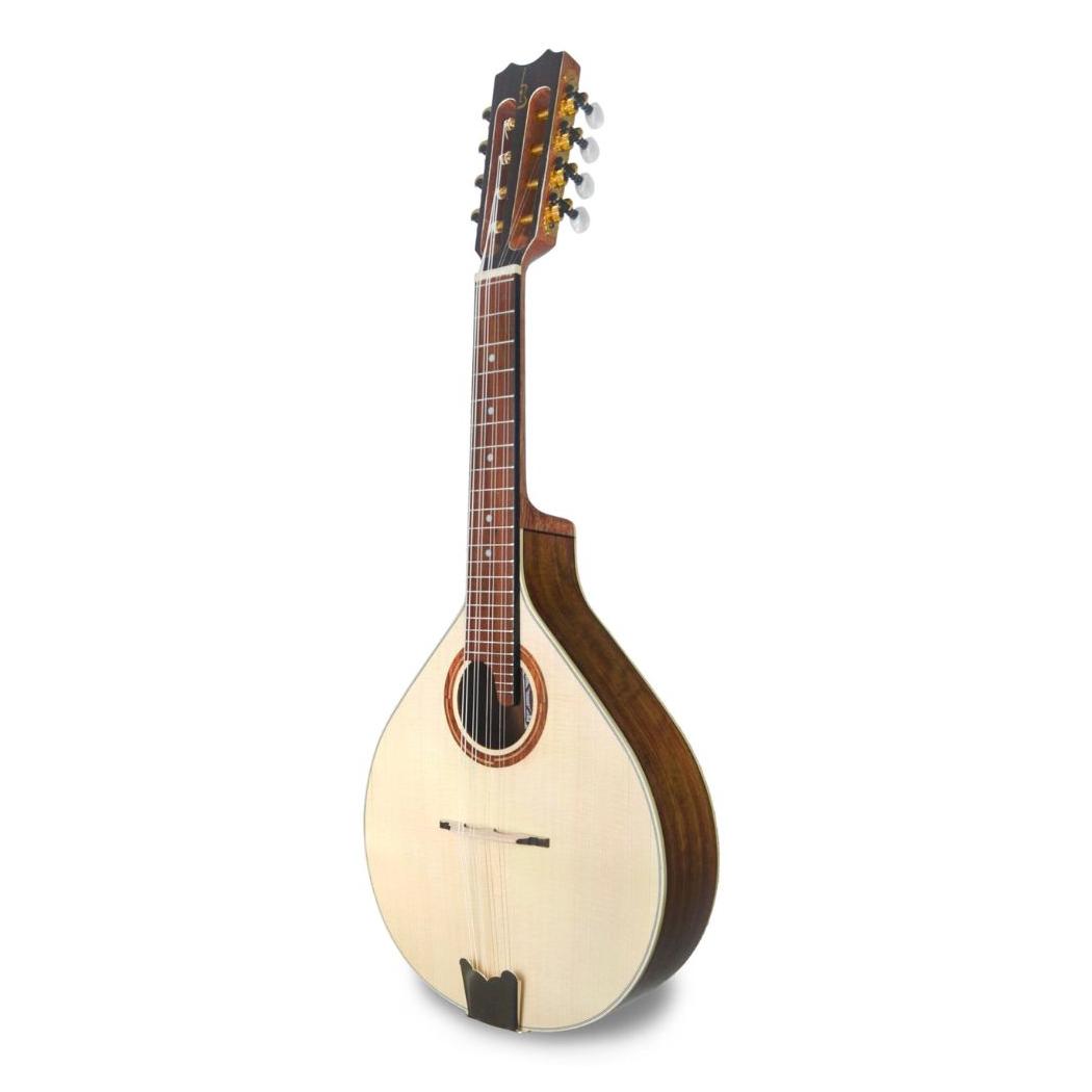 BANDOLIM APC MDL 310