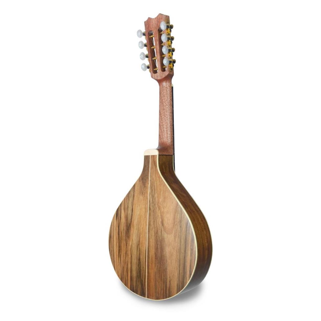 BANDOLIM APC MDL 310