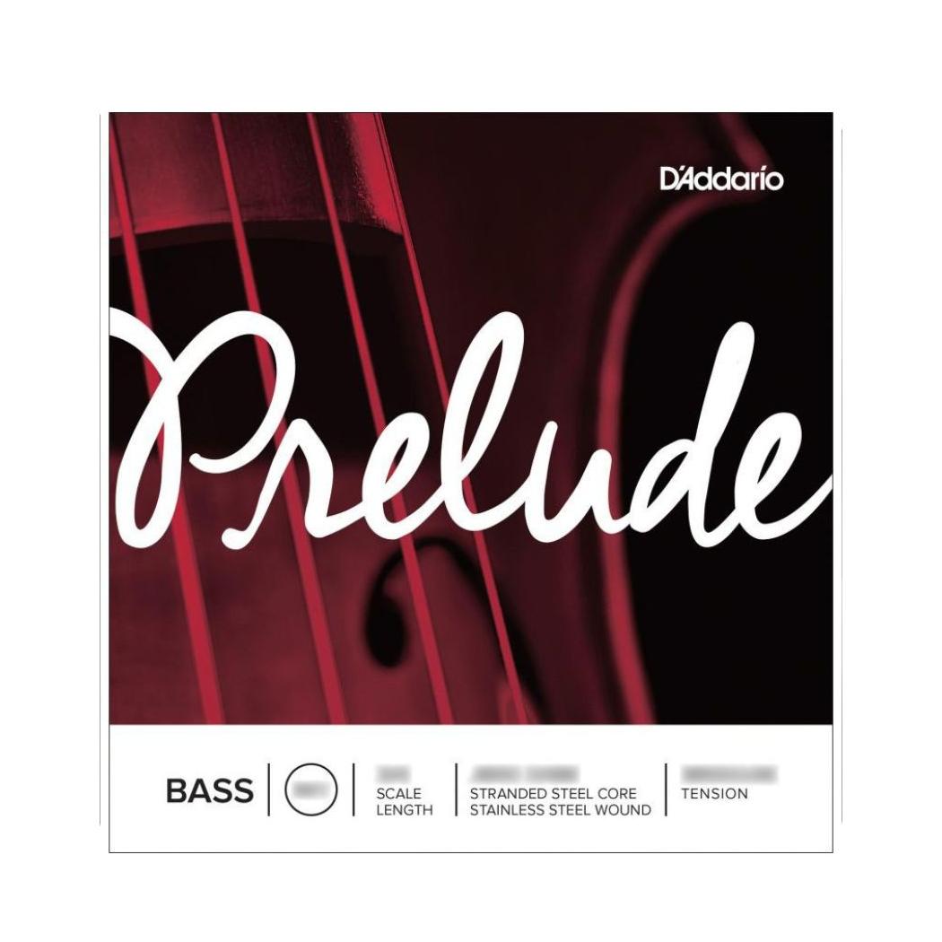 JG. CORDAS D&acute;ADDARIO J 610