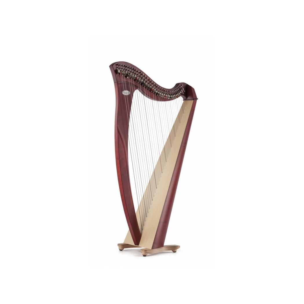 HARPA SALVI MIA 34 MOGNO