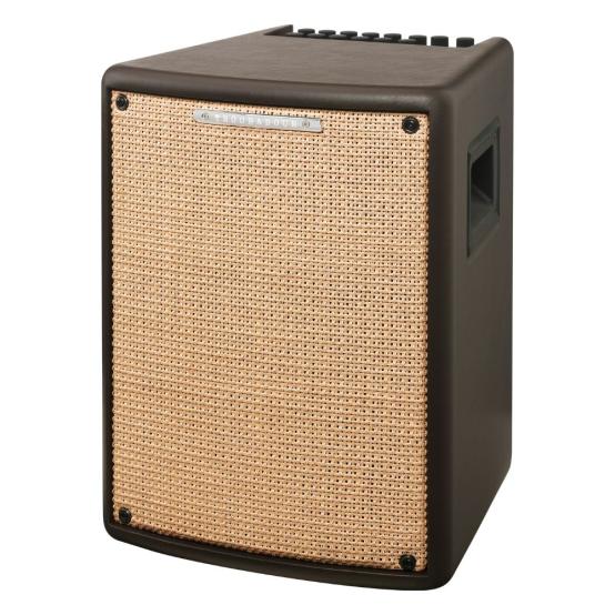 COMBO IBANEZ ACOUSTIC GUITAR T 80IIU