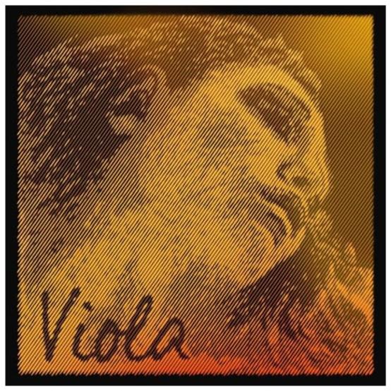 JG. CORDAS EVAH PIRAZZI VIOLA GOLD